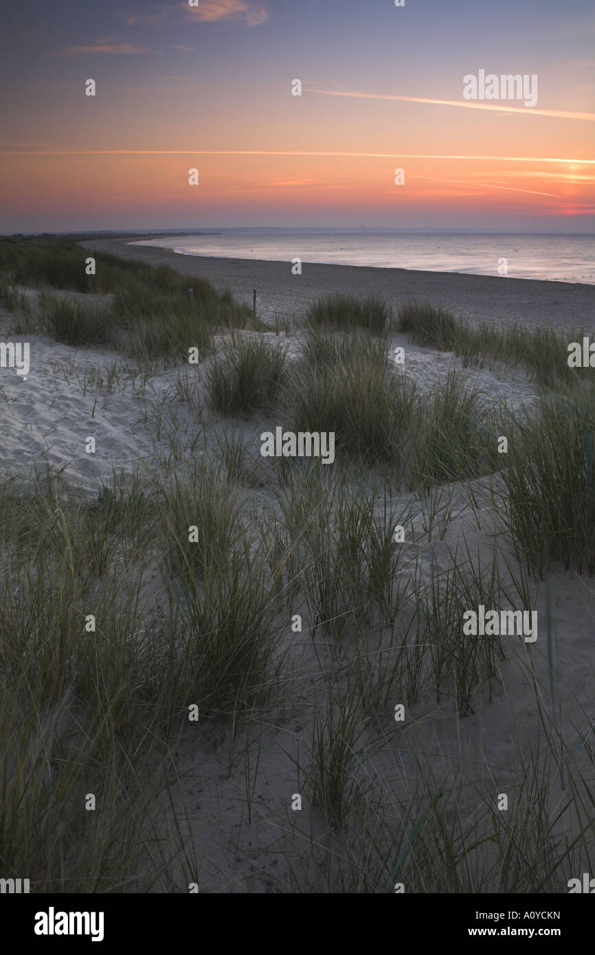 Studland sand dunes at Knoll beach Stock Photo - Alamy