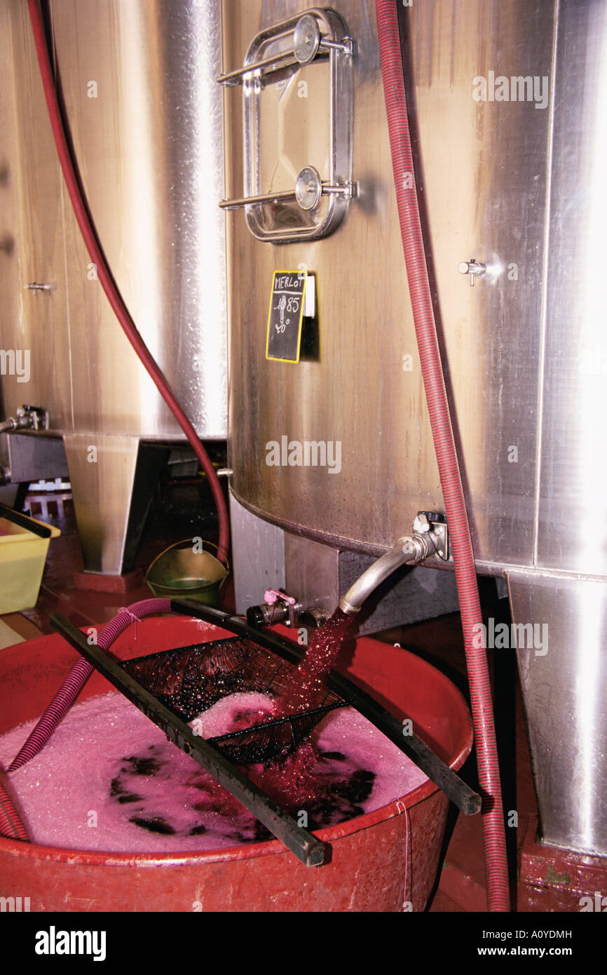 Racking grape juice into fermentation tanks Chateau Crozet Bages