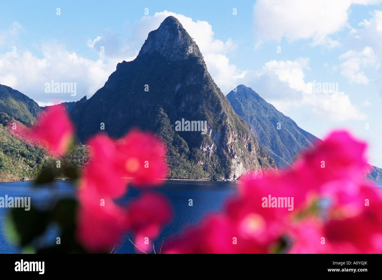 Pitons mountains in st lucia hires stock photography and images Alamy