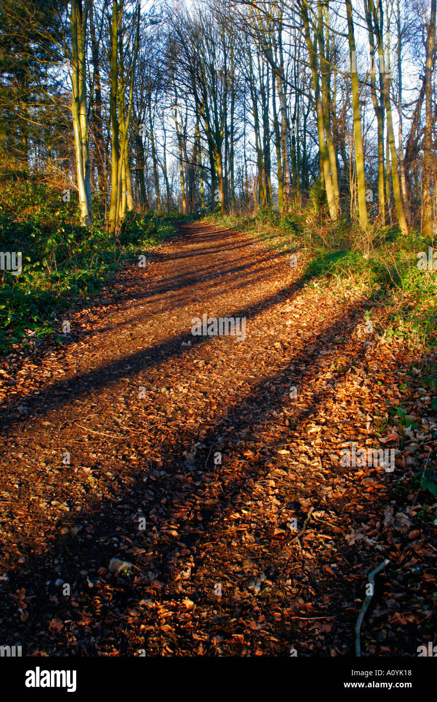 Baggeridge park hi-res stock photography and images - Alamy