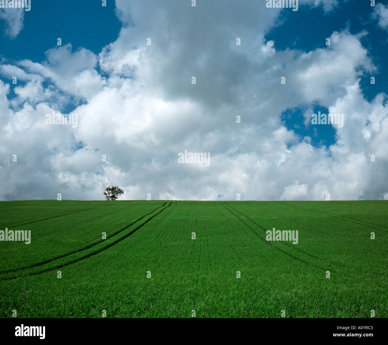 Dean green hi-res stock photography and images - Alamy