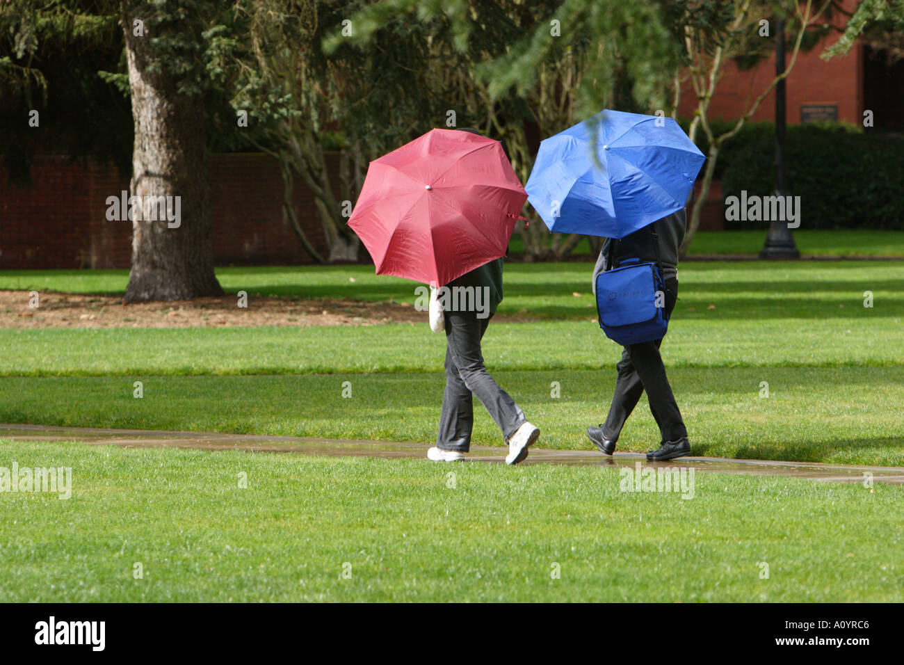 Two people with umbrellas walking through grass Stock Photo