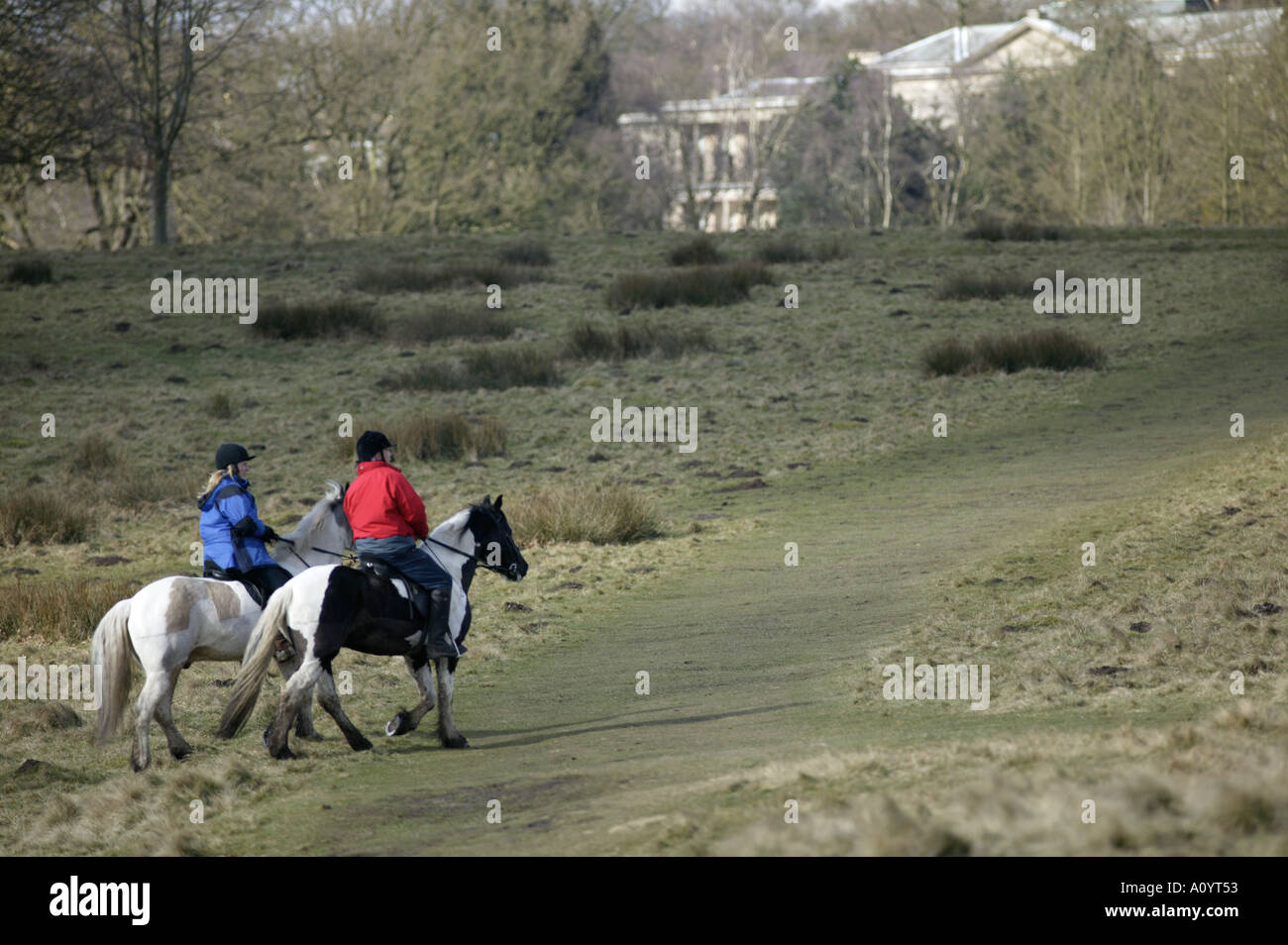 Horse riders on a bridle path at Tatton Park Cheshire Stock Photo Alamy