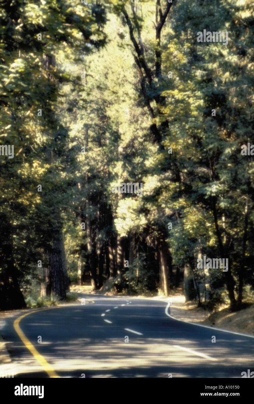 Sunlight yosemite car hires stock photography and images Alamy