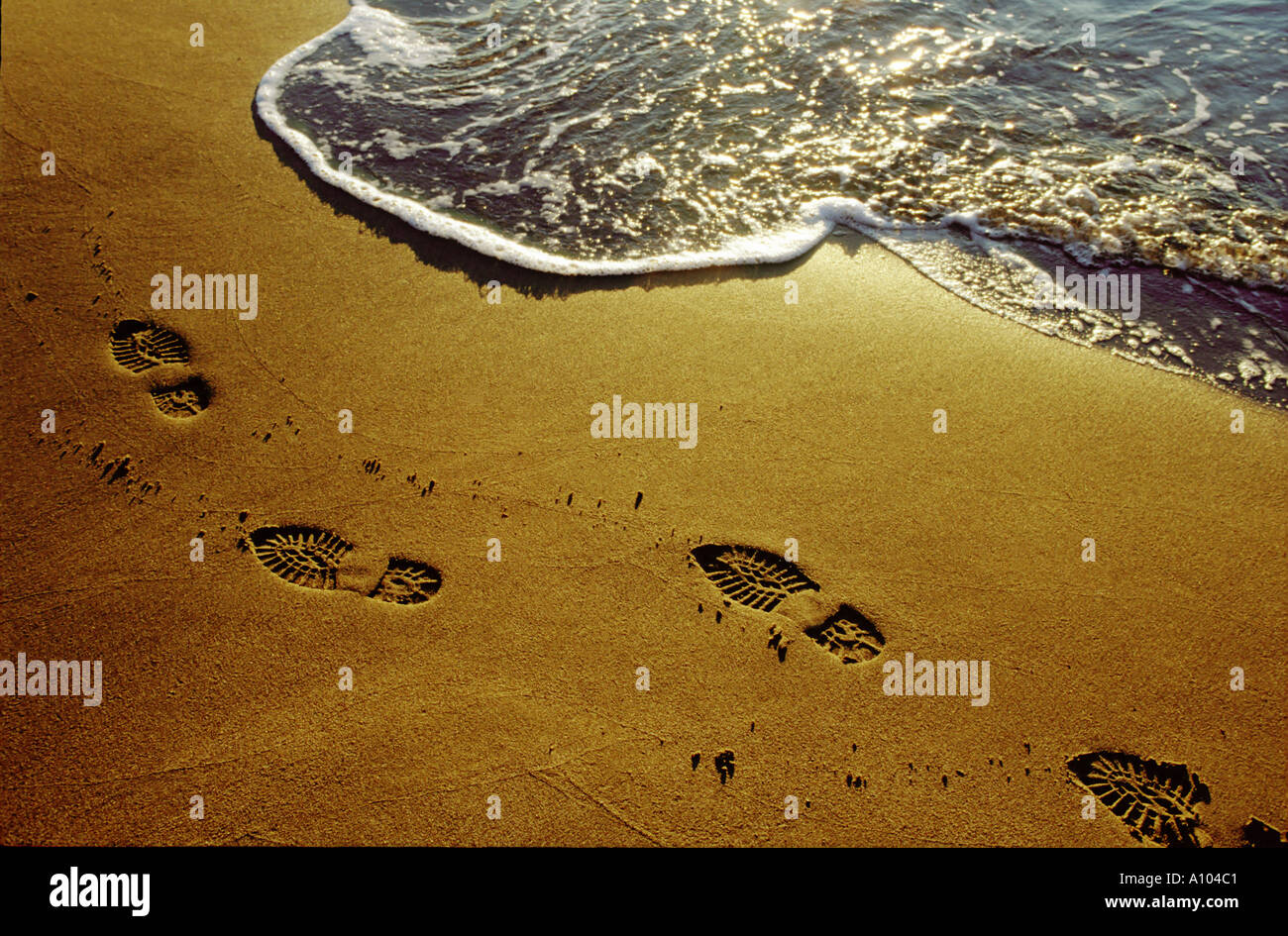 boot foot prints on the sand by the sea shore Stock Photo
