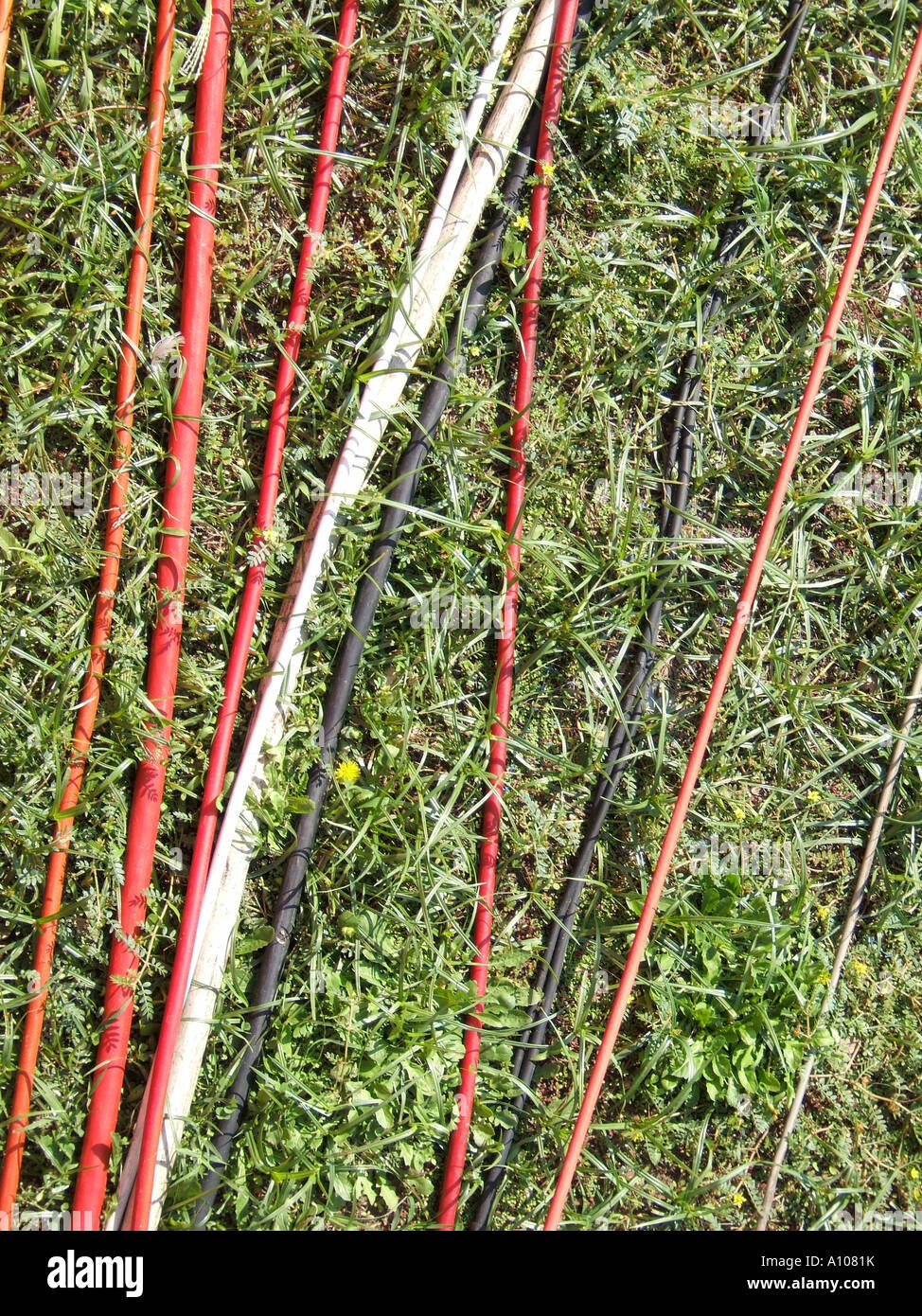 electrical power cables on grass in garden Stock Photo Alamy