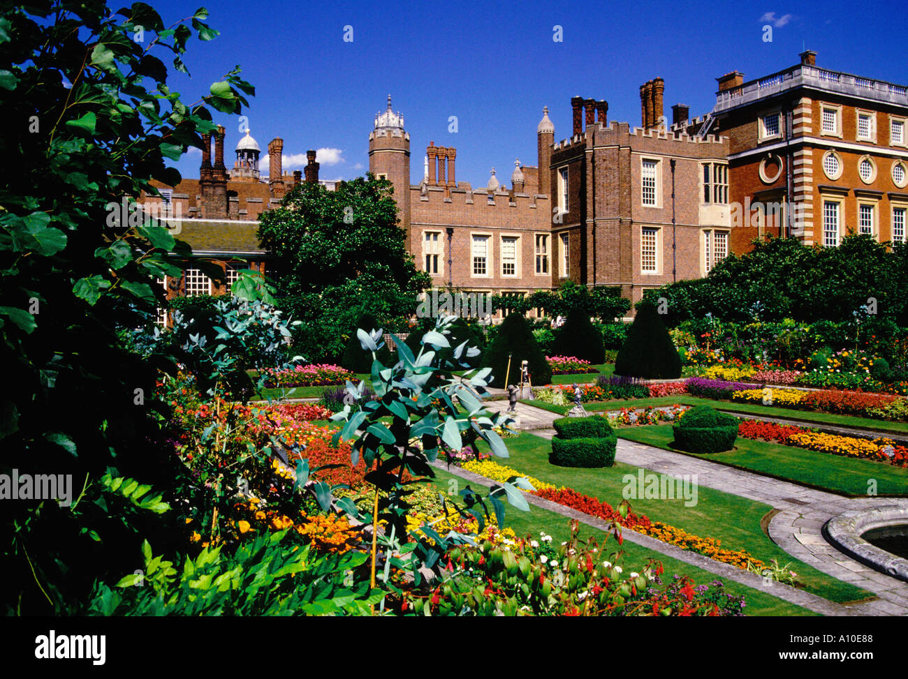 The Pond Garden, Hampton Court Palace, London Stock Photo Alamy