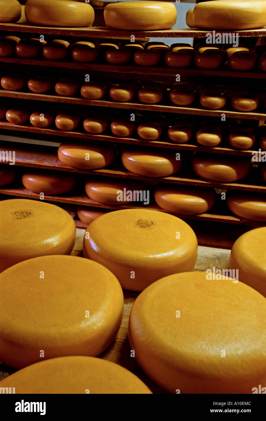 Clara maria holland hi-res stock photography and images - Alamy