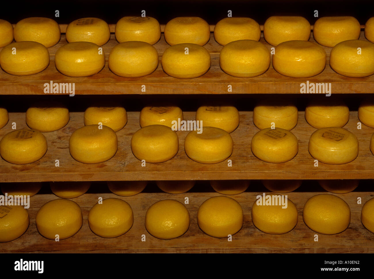 Clara maria cheese hi-res stock photography and images - Alamy