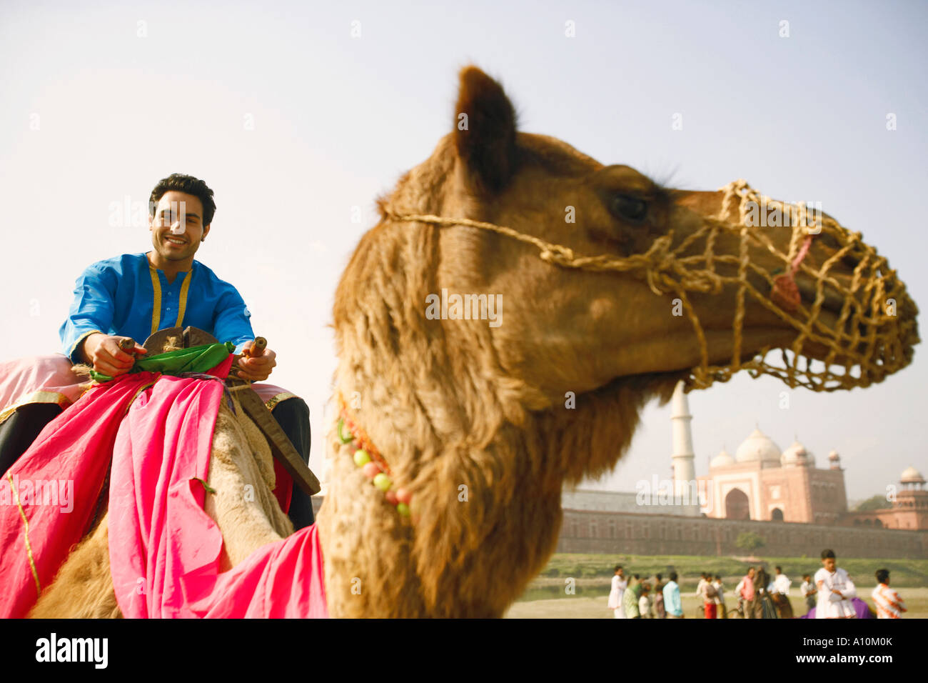 Indian man sitting on camel hi-res stock photography and images - Alamy