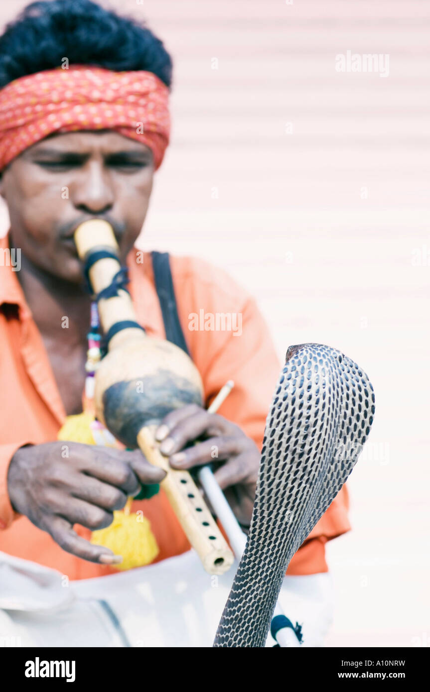 Snake charmer playing a flute in front of a snake, Jaipur, Rajasthan