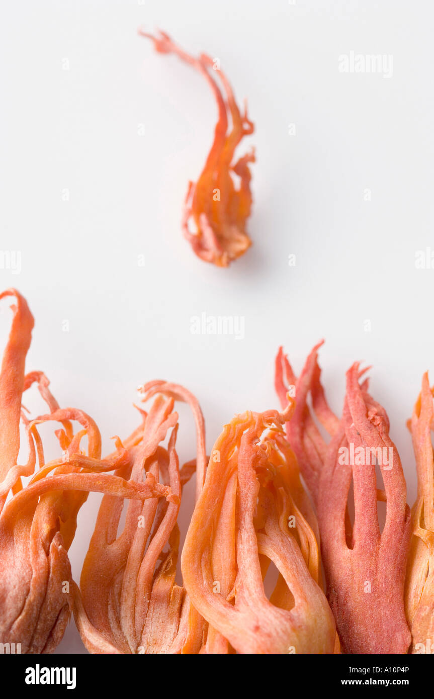 Mace blades hires stock photography and images Alamy