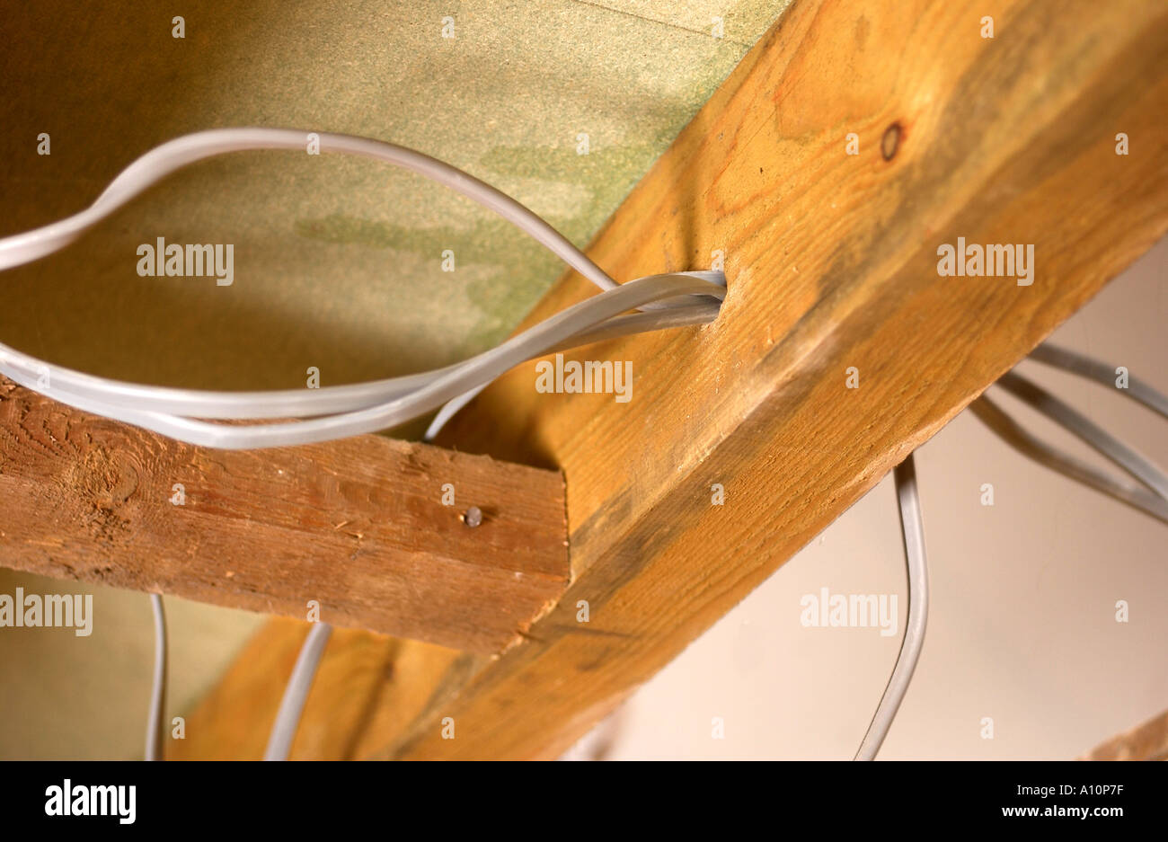 BUILDING AN EXTENSION JOISTS WITH NOGGINS AND ELECTRICITY CABLES Stock Photo Alamy