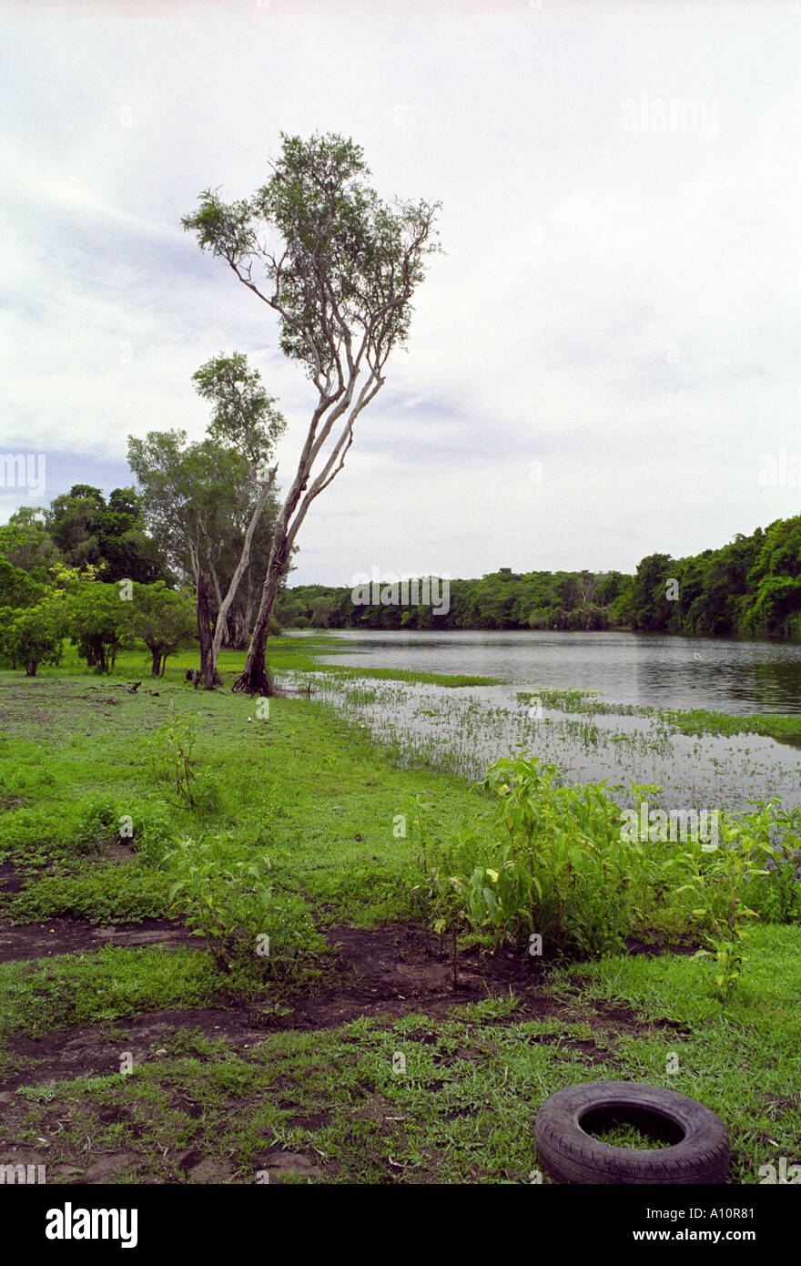 Litchfield National Park Stock Photo