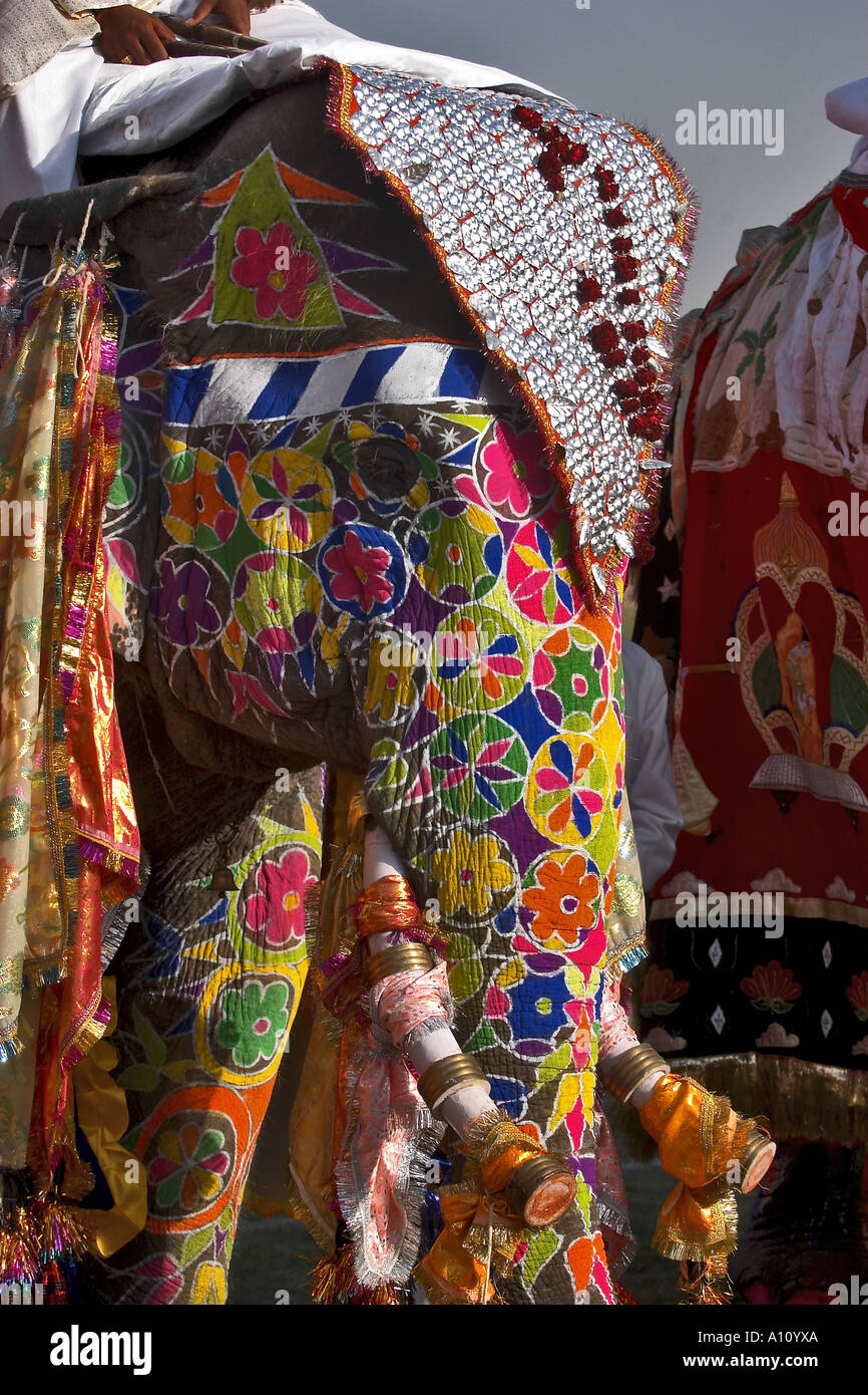UGA75820 Elephant Decoration Elephant Festival 2004 Chuagan Stadiam Jaipur Rajasthan India Stock Photo