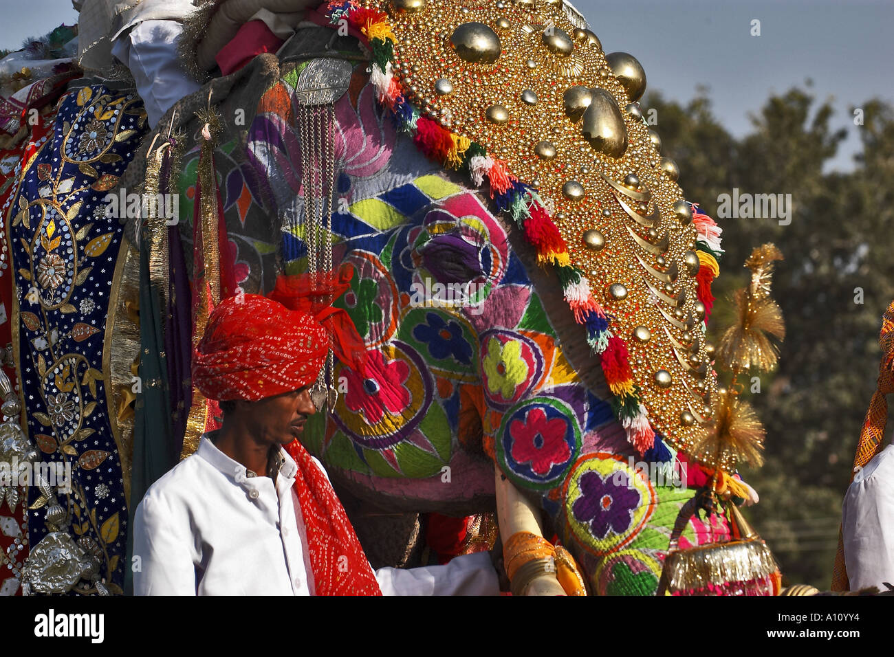 Elephant Decoration Elephant Festival Chuagan Stadium Jaipur Rajasthan India Asia Stock Photo
