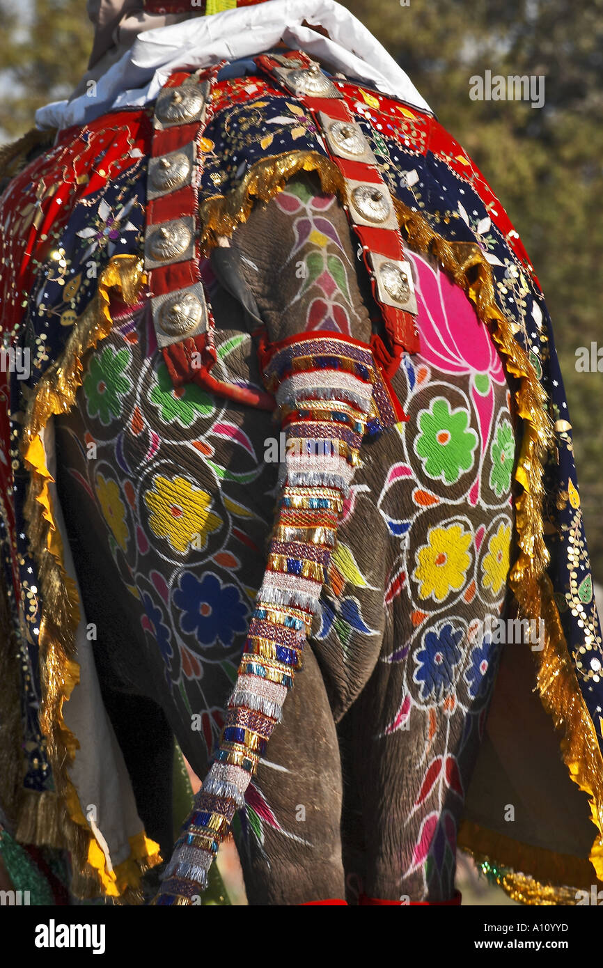 UGA75825 Elephant Decoration Elephant Festival 2004 Chuagan Stadiam Jaipur Rajasthan India Stock Photo