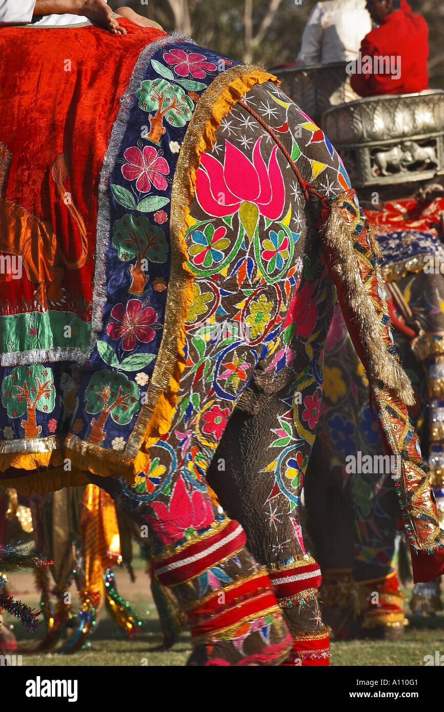 UGA75826 Elephant Decoration Elephant Festival 2004 Chuagan Stadiam Jaipur Rajasthan India Stock Photo