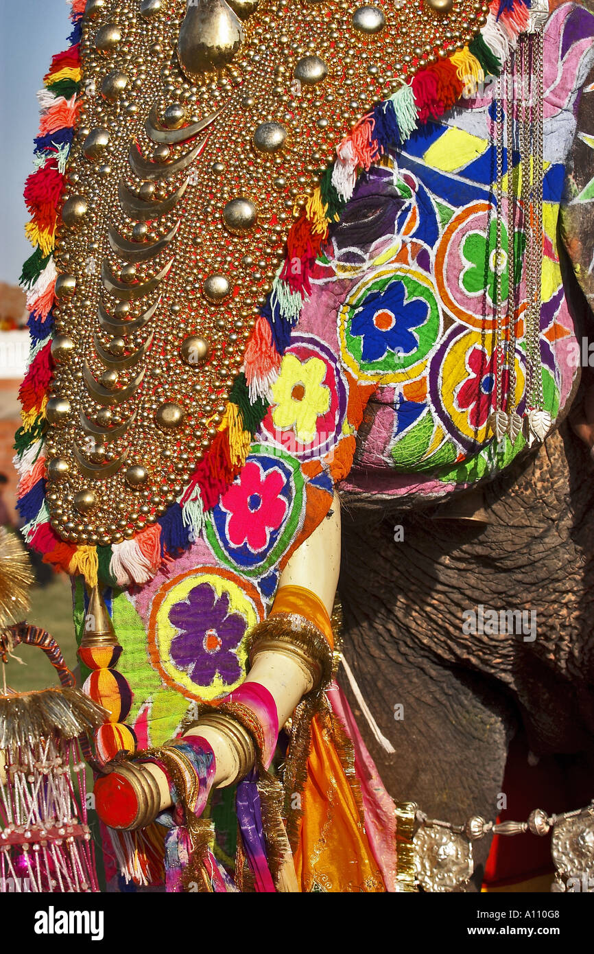 Elephant decoration, Elephants Festival, Chaugan Stadium,  Jaipur, Rajasthan, India, Asia Stock Photo