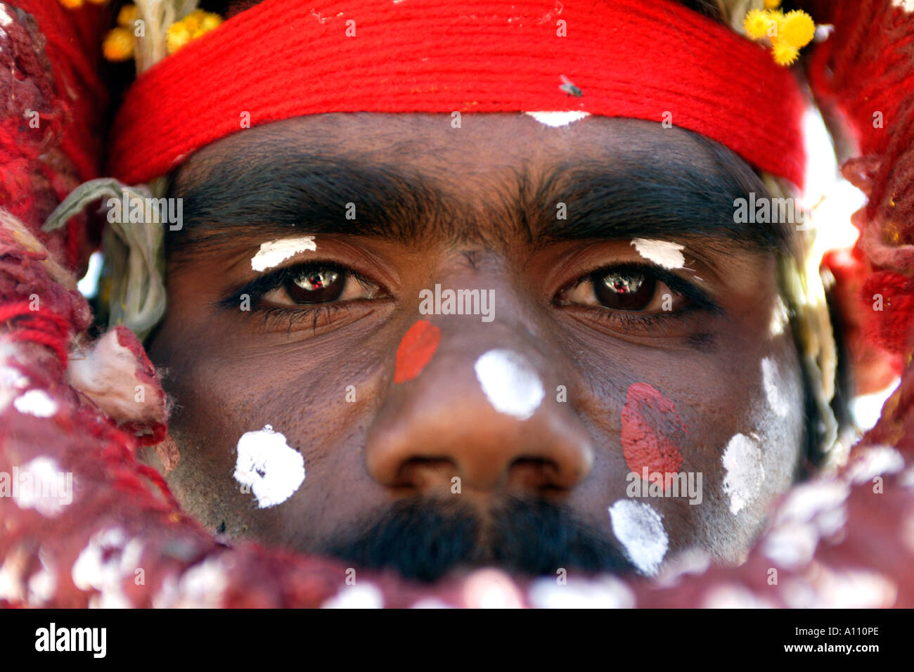 Aboriginal man dressed in traditional costume near Uluru Ayers Rock Anangu Pitjantjara lands South Australia Stock Photo