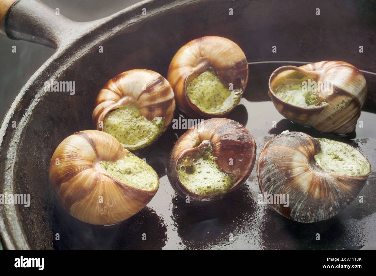 Escargo Shot Pan shot hi-res stock photography and images - Alamy