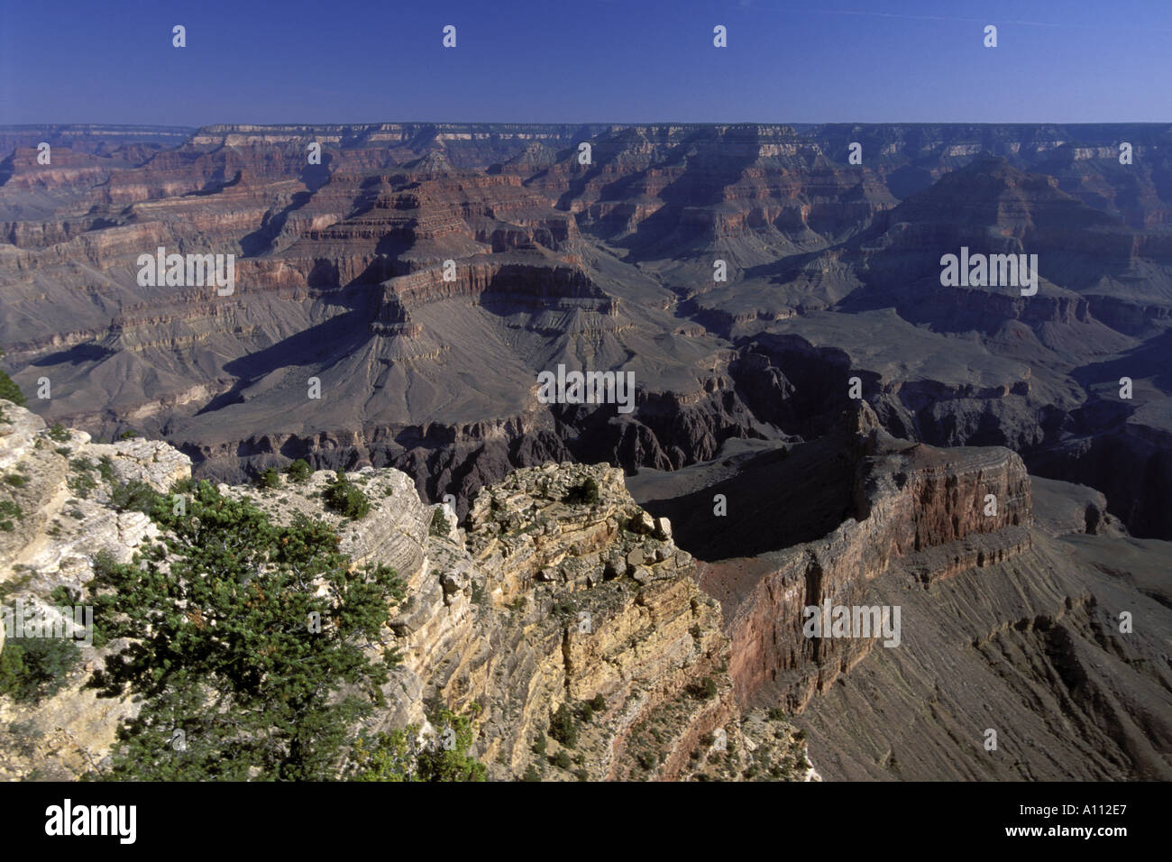 Southern Rim Gr grand canyon south rim Stock Photo - Alamy