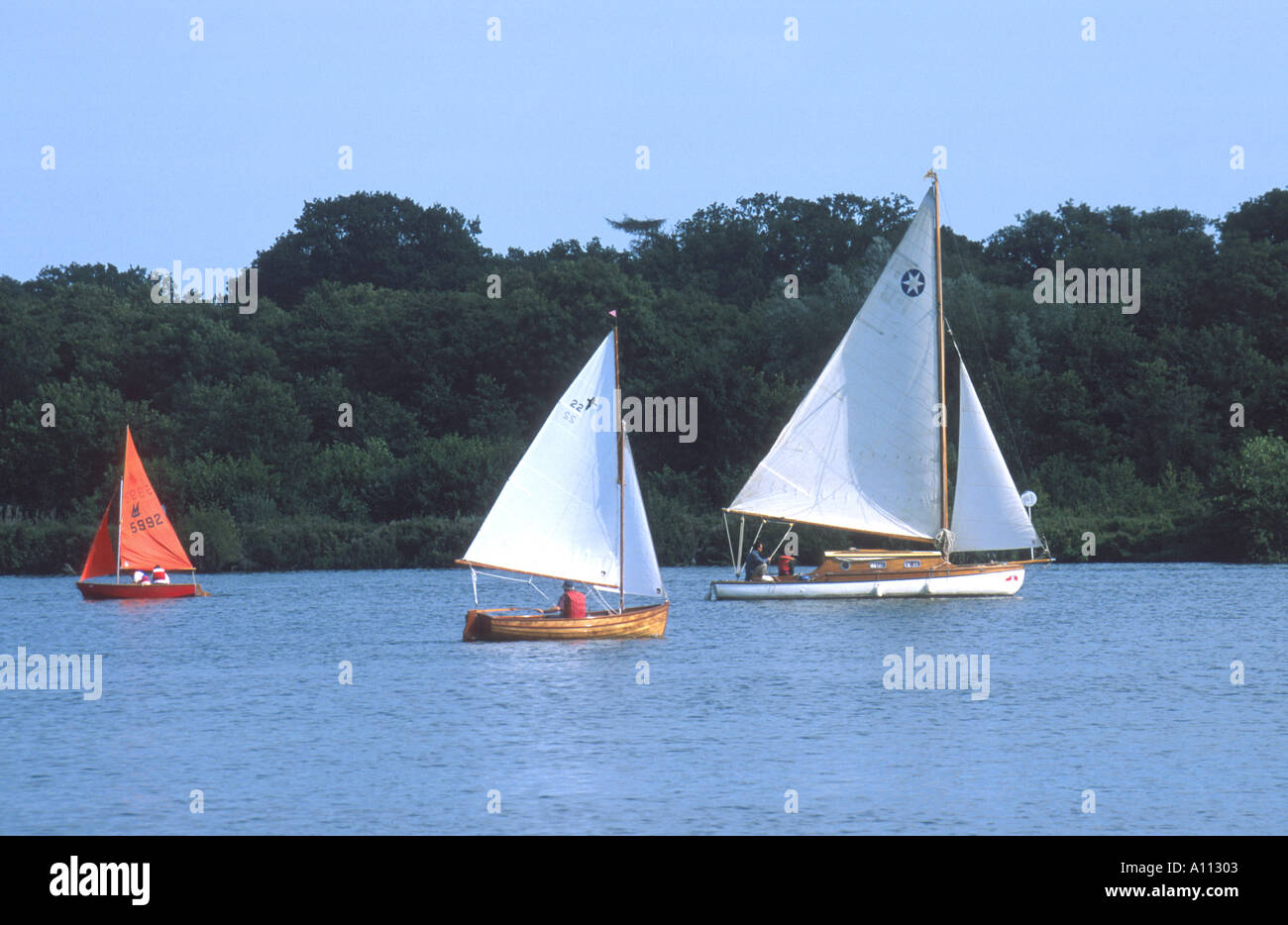 SAILING DINGHIES ON WROXHAM BROAD, NORFOLK, EAST ANGLIA ENGLAND UK