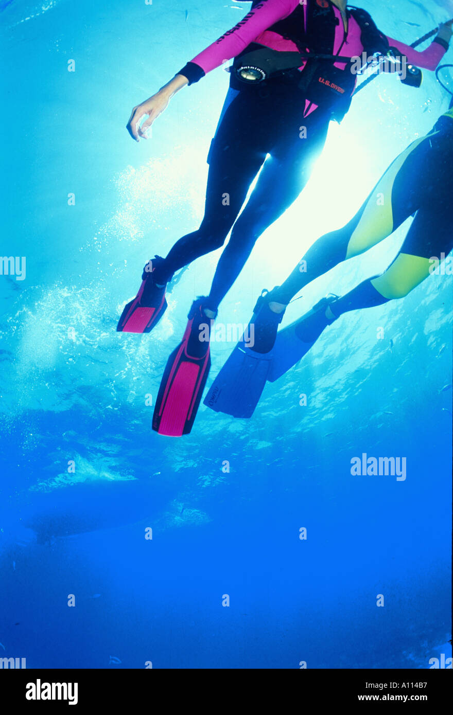 THE LEGS AND FINS OF TWO SCUBA DIVERS AS THEY PERFORM A SAFETY STOP AFTER A DIVE Stock Photo Alamy