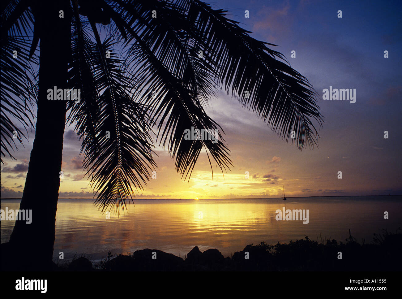 Beautiful sunset palm tree on hi-res stock photography and images - Alamy