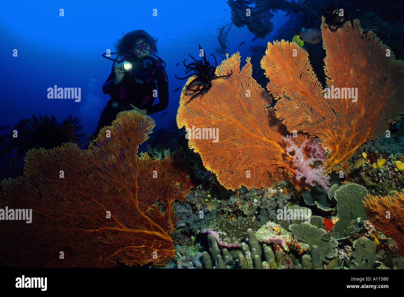 Girls scuba diving hi-res stock photography and images - Alamy
