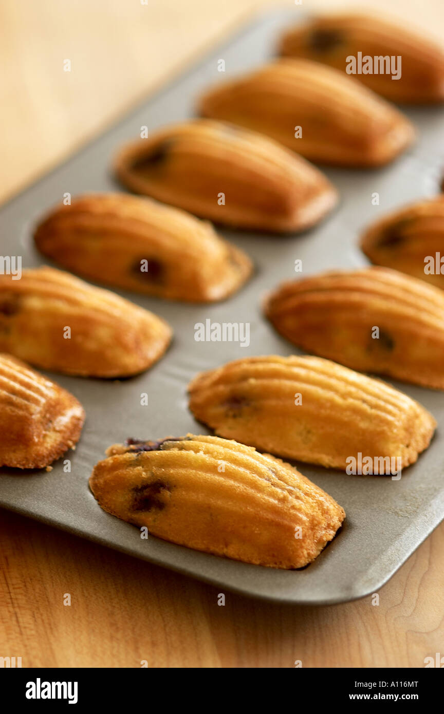 Madeleines Fresh from the Oven Stock Photo Alamy