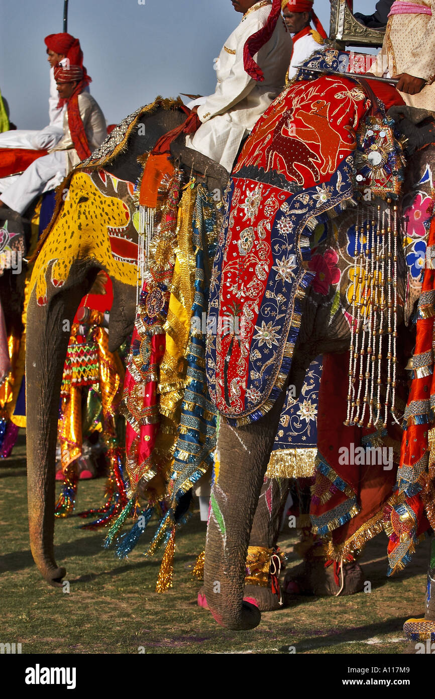 Elephants painted and decorated, Elephant Festival, Chaugan Stadium