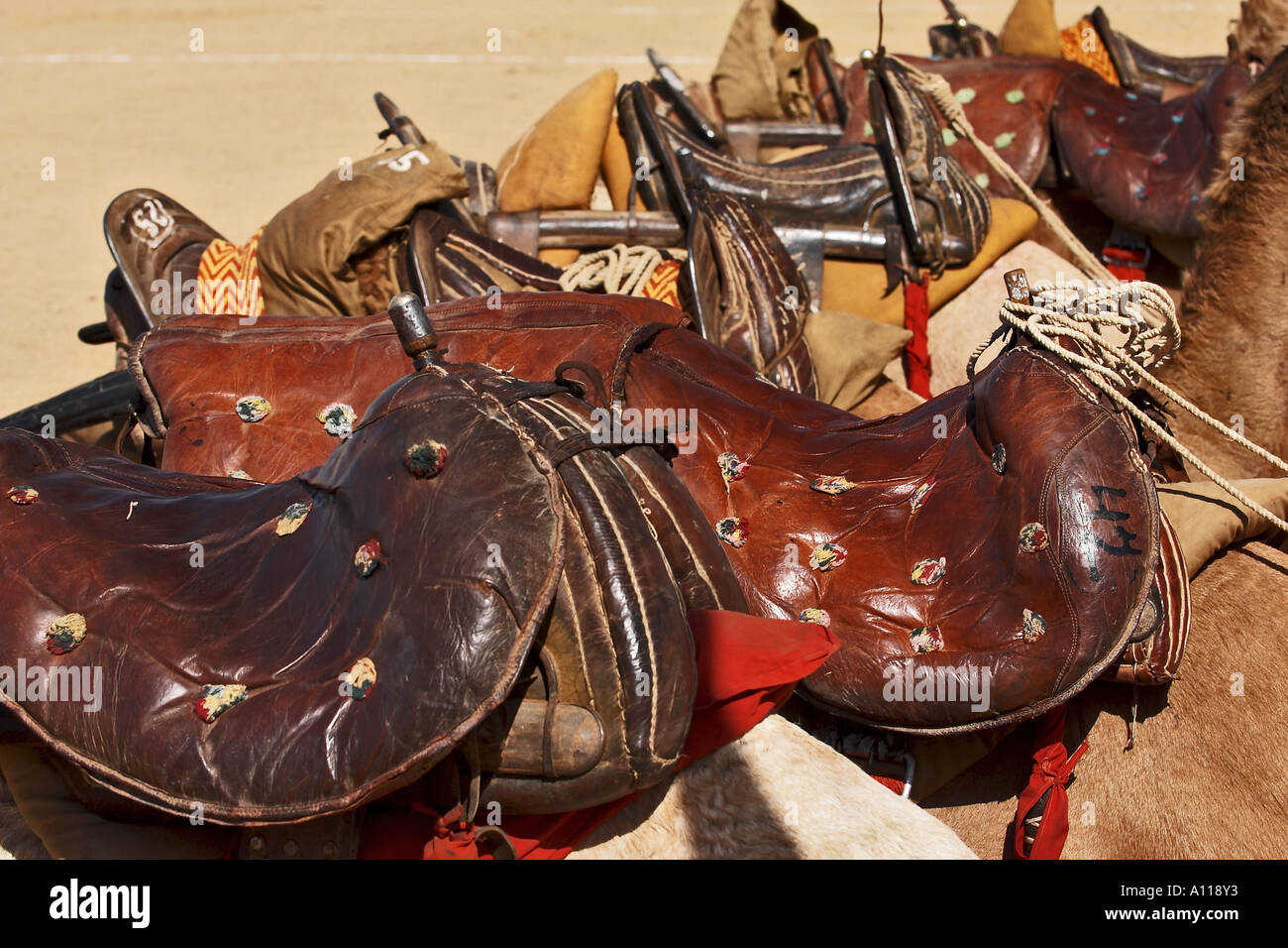 Saddle for Camel, Desert Festival,  Jaisalmer, Rajasthan, India, Asia Stock Photo