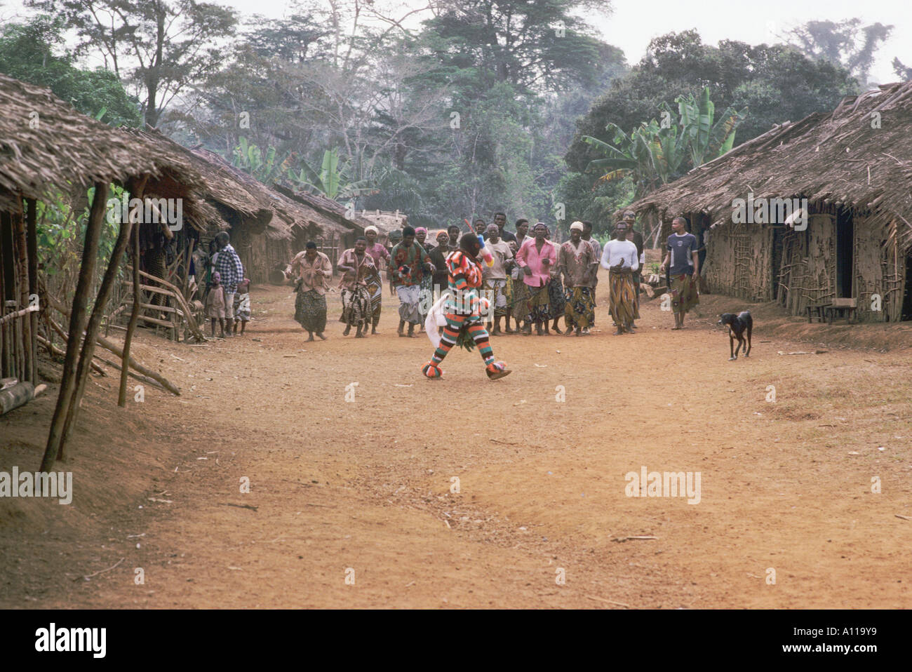 Rainforest village with leopard cult masquerader dancing in west African rainforest, SW Cameroon Stock Photo