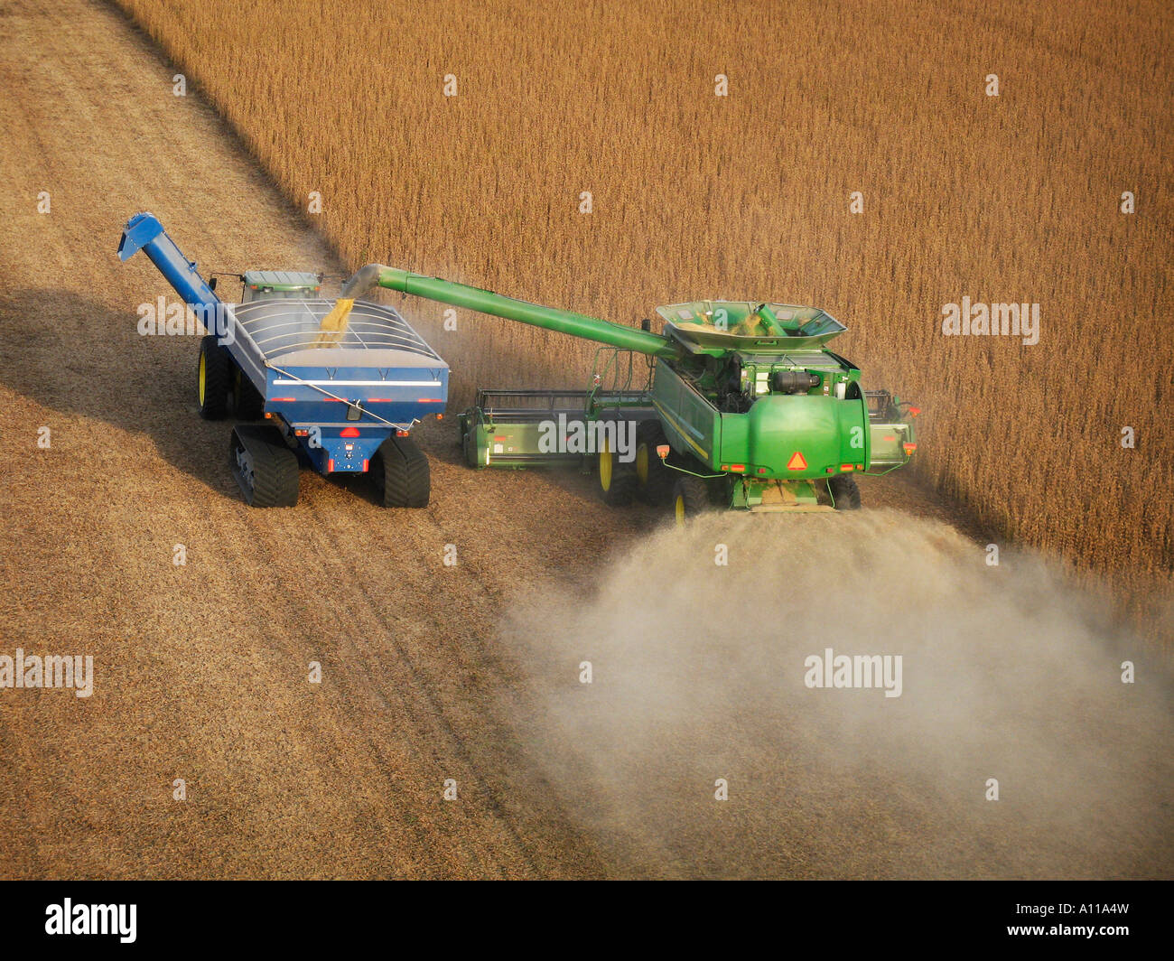 Farmer harvesting soybeans Stock Photo Alamy
