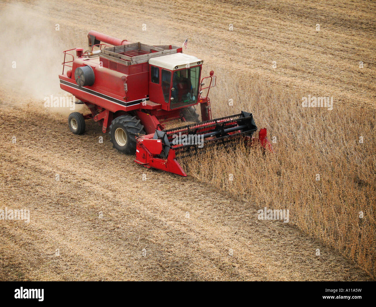 Farmer harvesting soybeans Stock Photo Alamy