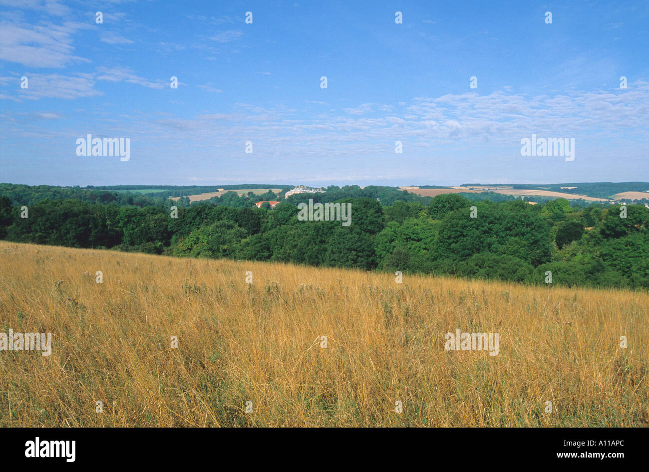 Late summer Dorset meadow on "hangings" near Blandford Stock Photo