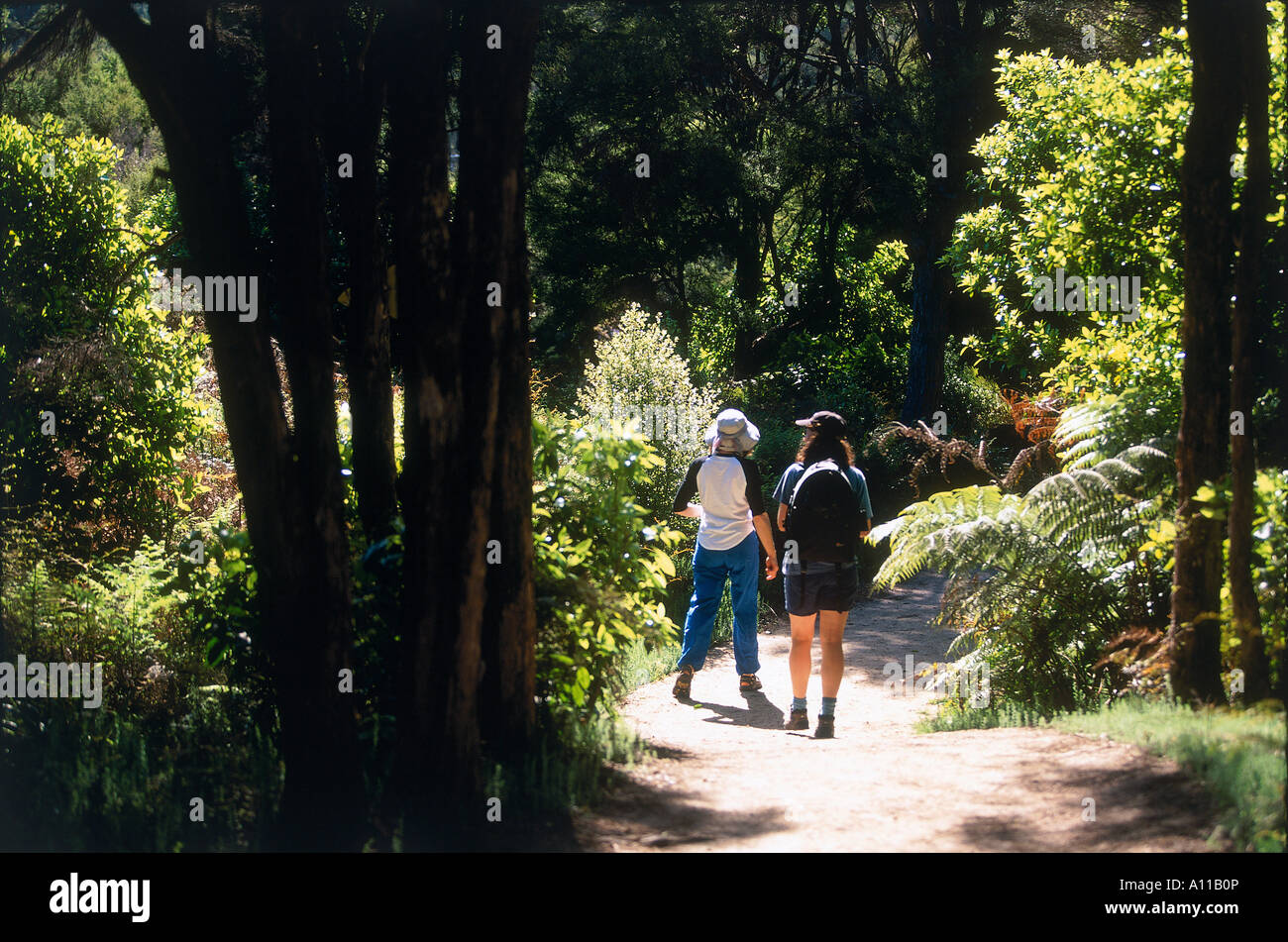 Coastal Track Awaroa Inlet Able Tasman National Park Stock Photo - Alamy