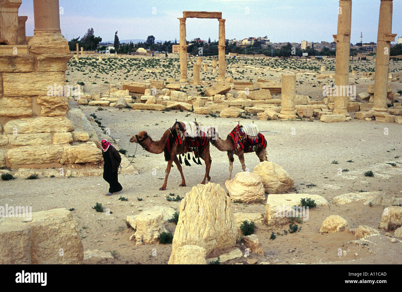 Roman ruins Palmyra Syria Stock Photo - Alamy