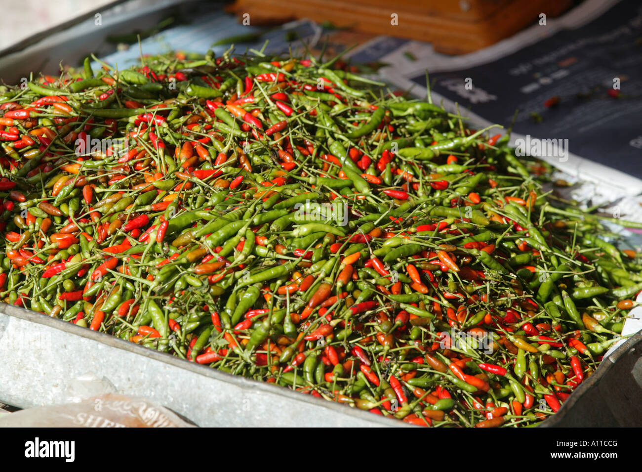 Red and green chillies for sell in the market at Mae Sariang Stock ...
