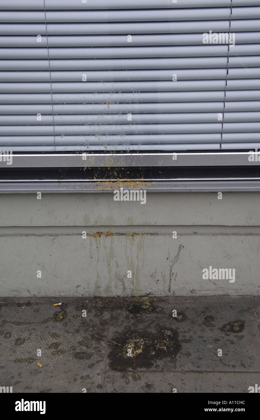 vomit puke sick street nasty alcoholism binge drinking after effects