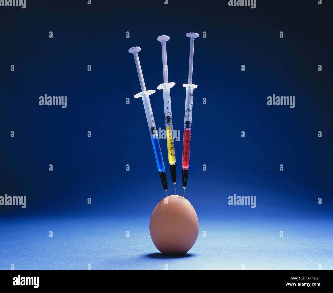 SYMBOL PHOTO contents substances into food EGG EGGS animal products