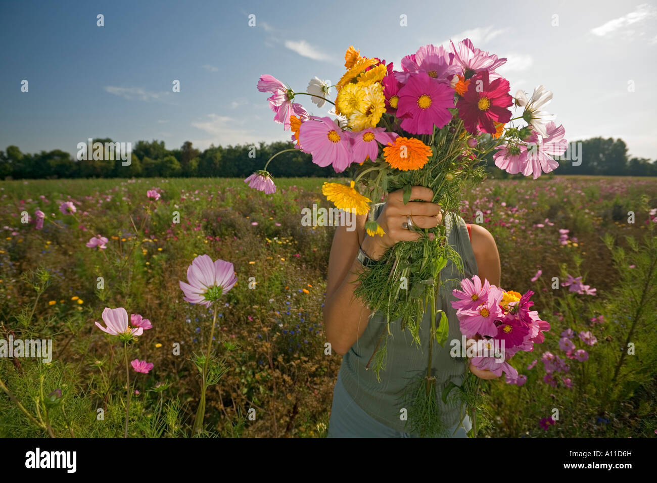 A Young Lady Hiding Herself Behind A Bunch Of Wild Flowers