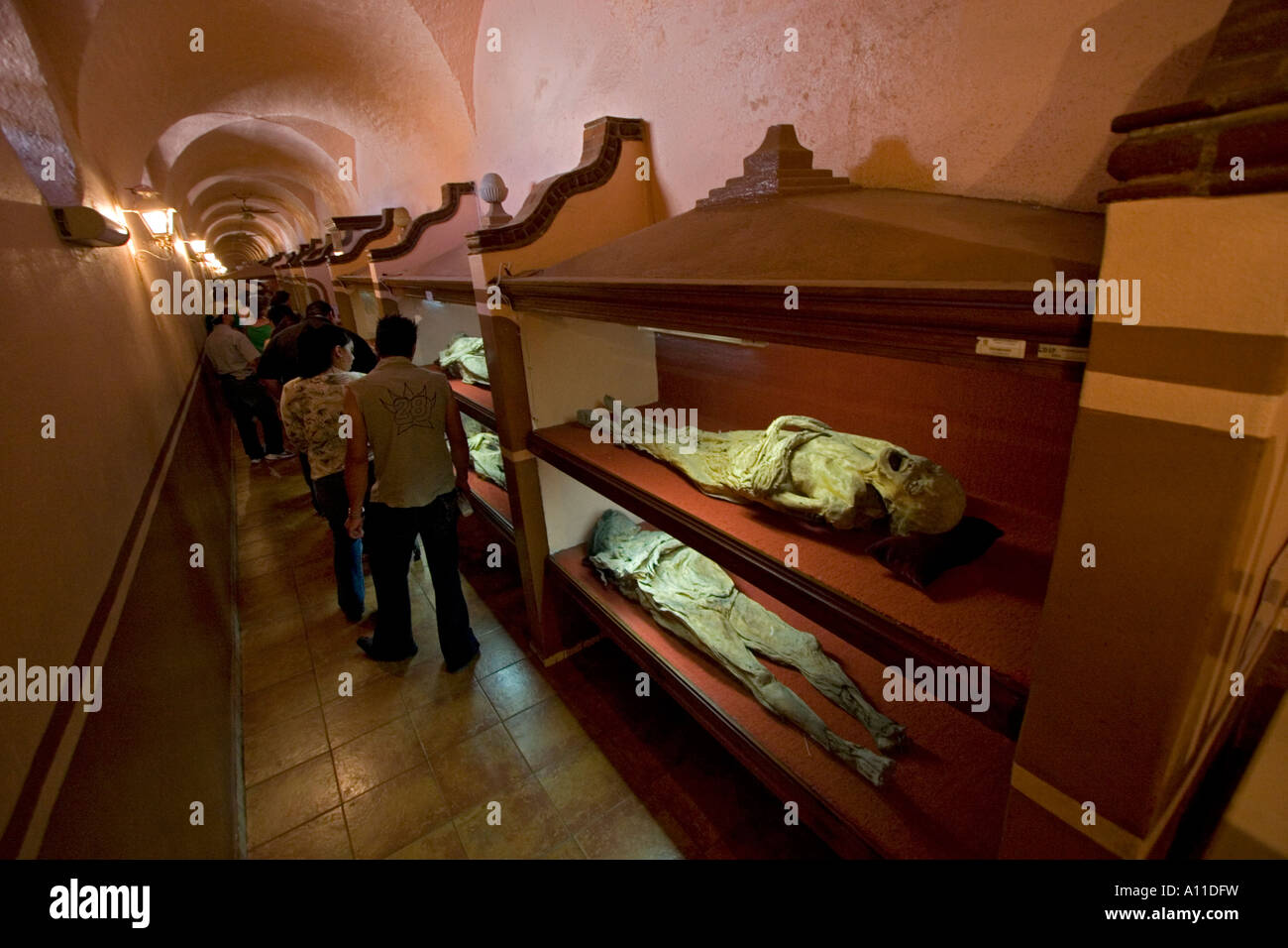 Visitors in front of the showcases in the Museum of mummies (Mexico). Visiteurs devant les vitrines du 'Museo de las Momias'. Stock Photo