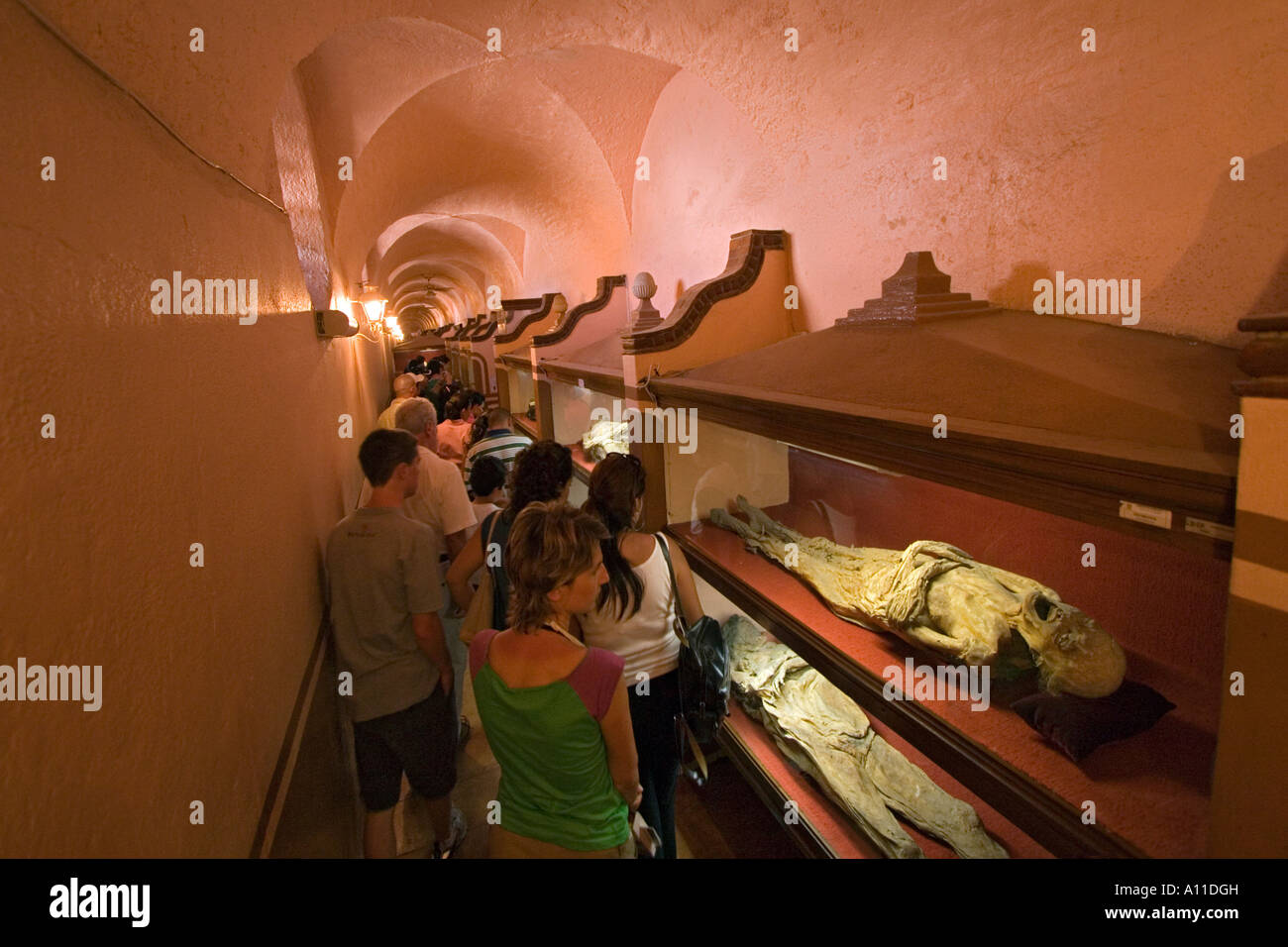 Visitors in front of the showcases in the Museum of mummies (Mexico). Visiteurs devant les vitrines du "Museo de las Momias". Stock Photo