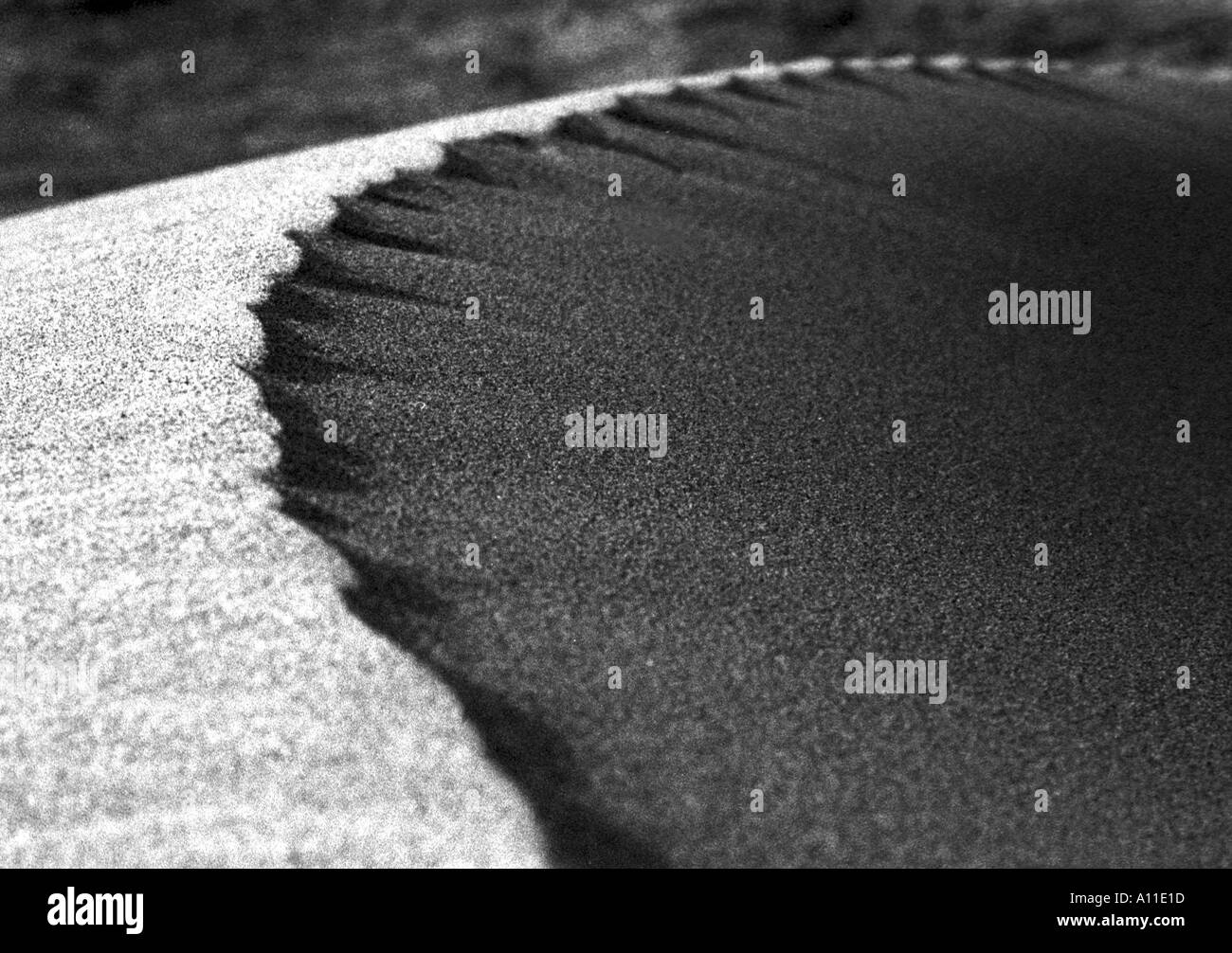 Black and white image of Sand dune Maspalomas Gran Canaria Stock Photo