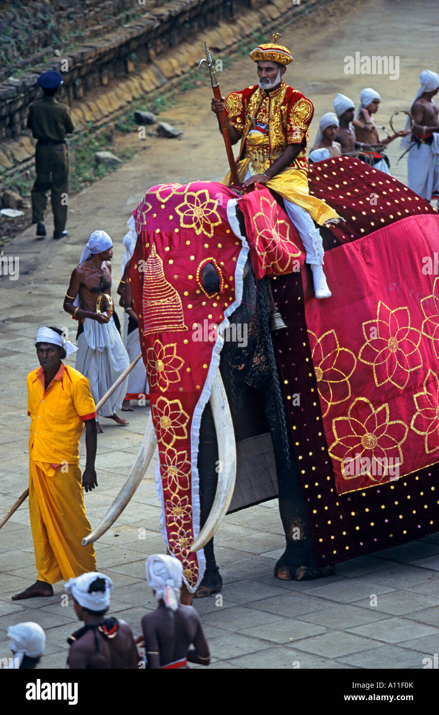 Asian Elephant Procession At The Esala Perahera In Kandy Sri Lanka Defile D Elephants D Asie Durant L Esala Perahera A Kandy Stock Photo Alamy