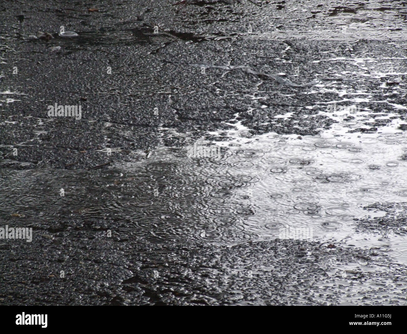 raindrops splashing into pool of water on street Stock Photo - Alamy