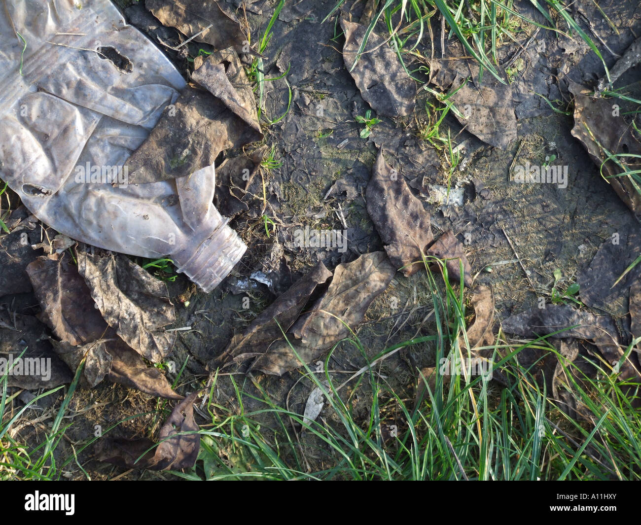 plastic water bottle in mud Stock Photo - Alamy