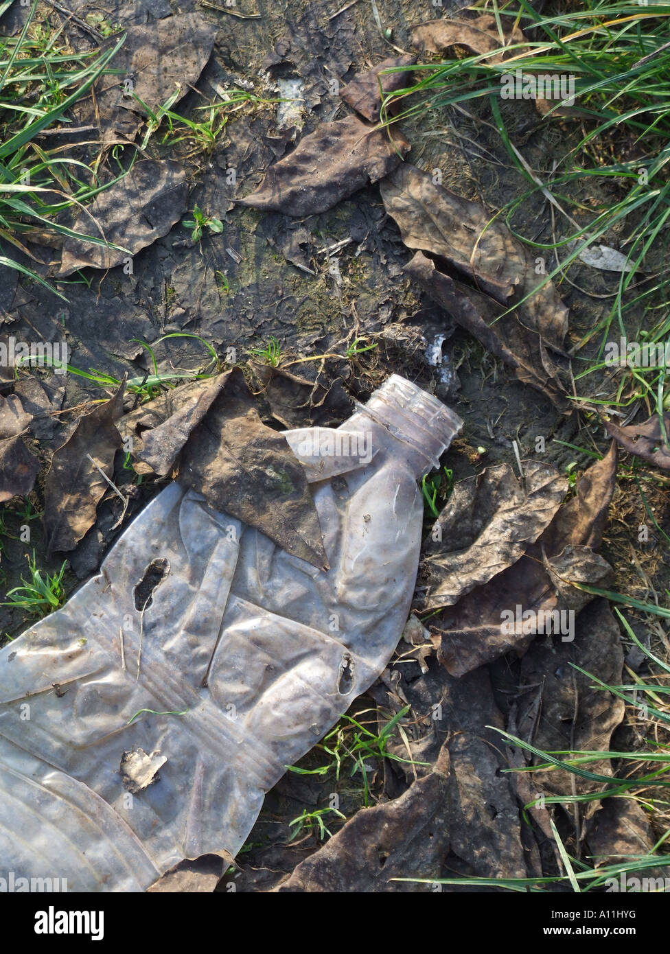 plastic water bottle in mud Stock Photo - Alamy